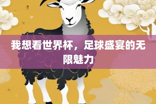 我想看世界杯，足球盛宴的无限魅力眉山市正发家政服务有限公司