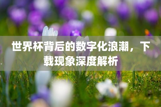 世界杯背后的数字化浪潮，下载现象深度解析