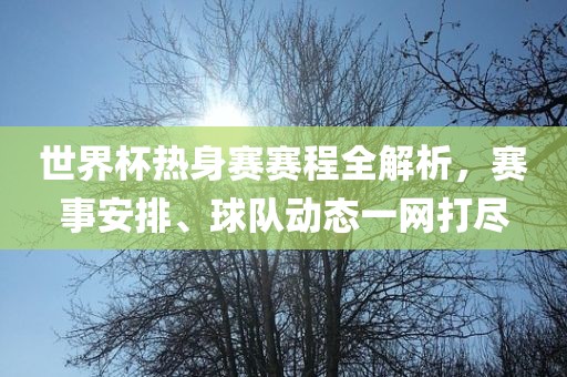 世界杯热身赛赛程全解析，赛事安排、球队动态一网打尽