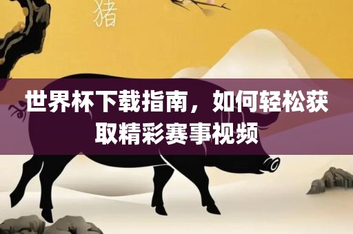 linyixia 第6页