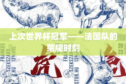 上次世界杯冠军——法国队的荣耀时刻眉山市正发家政服务有限公司