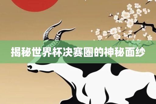 揭秘世界杯决赛圈的神秘面眉山市正发家政服务有限公司纱
