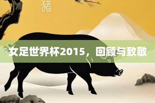 女足世界杯2015，回顾与致敬眉山市正发家政服务有限公司