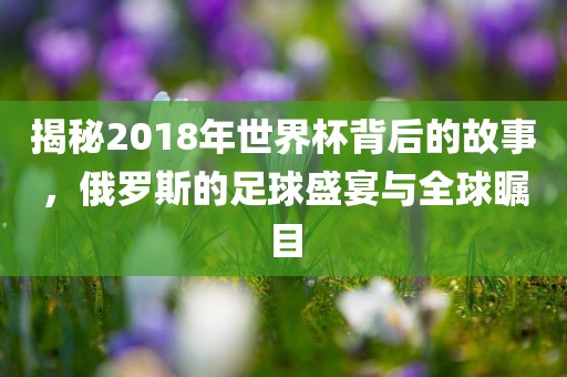 揭秘2018年世界杯背后的故事，俄罗斯的足球盛宴与全球瞩目