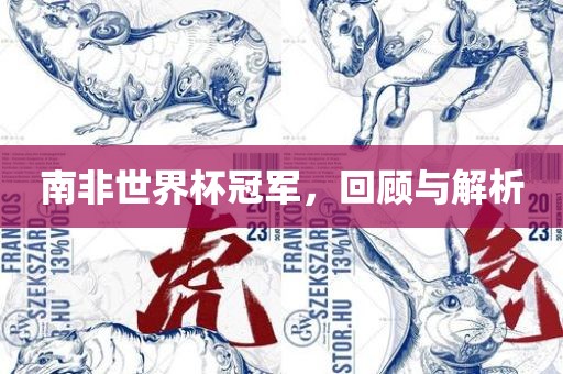 南非世界杯冠军，回顾与解析眉山市正发家政服务有限公司