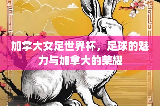 加拿大女足世界杯，足球的魅力与加拿大的荣耀眉山市正发家政服务有限公司