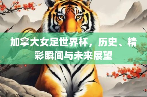 加拿大女足世界杯，历史、精彩瞬间与未来展望眉山市正发家政服务有限公司