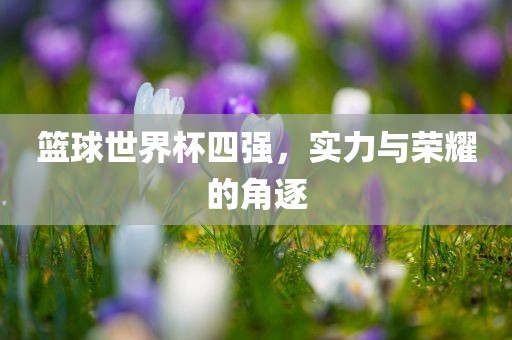 篮球世界杯四强，实力与荣耀的角逐