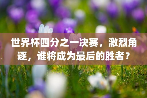 世界杯四分之一决赛，激烈角逐，谁将成为最后的胜者？眉山市正发家政服务有限公司