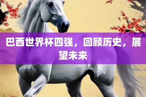 巴西世界杯四强，回顾历史，展望未来眉山市正发家政服务有限公司