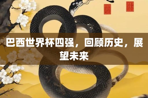 巴西世界杯四强，回顾历史，展望未来眉山市正发家政服务有限公司