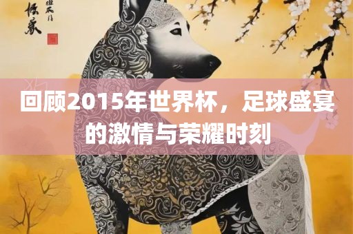 回顾2015年世界杯，足球盛宴的激情与荣耀时刻眉山市正发家政服务有限公司