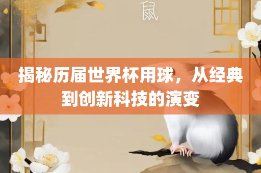 揭秘历届世界杯用球，从经典到创新科技的演变眉山市正发家政服务有限公司