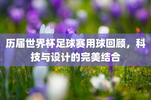 历届世界杯足球赛用球回顾，科技与设计的完美结合眉山市正发家政服务有限公司