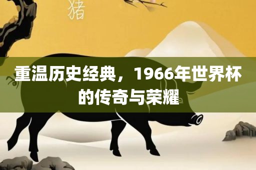 重温历史经典，1966年世界杯的传奇与荣耀眉山市正发家政服务有限公司