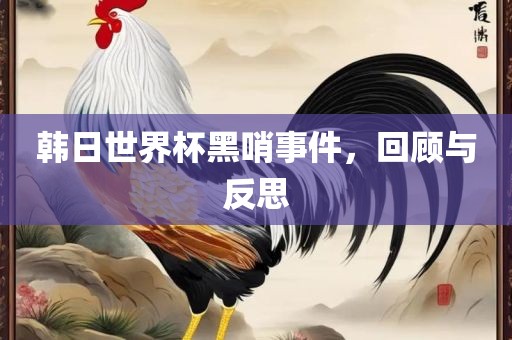 韩日世界杯黑哨事件，回顾与反思
