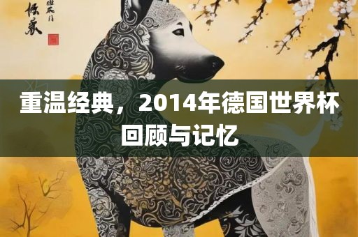 重温经典，2014年德国世界杯回顾与记忆