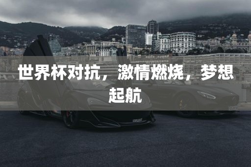 世界杯对抗，激情燃烧，梦想起航眉山市正发家政服务有限公司