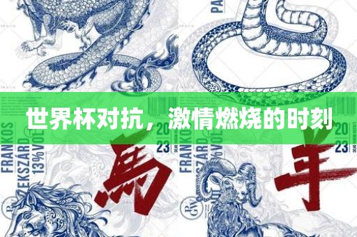 世界杯对抗，激情燃烧的时刻眉山市正发家政服务有限公司