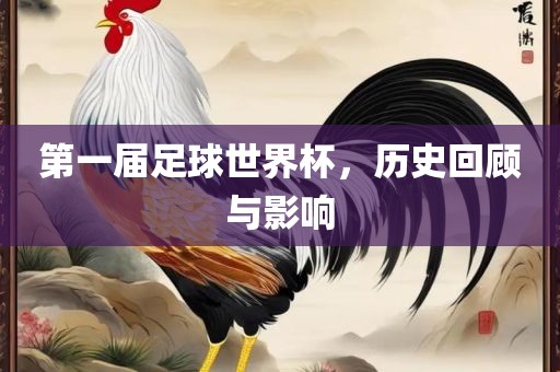 第一届足球世界杯，历史回顾与影响