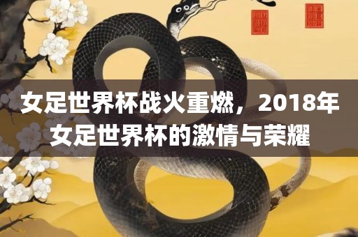 女足世界杯战火重燃，2018年女足世界杯的激情与荣耀眉山市正发家政服务有限公司