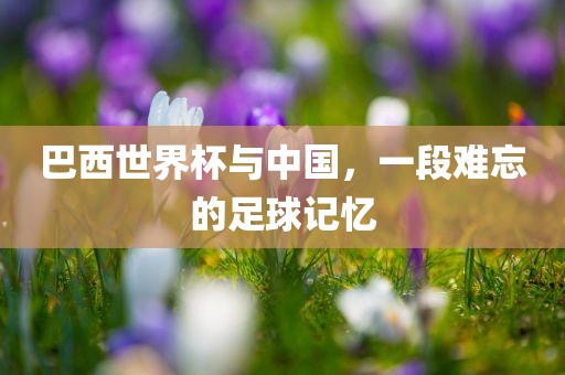 巴西世界杯与中国，一段难忘的足球记忆眉山市正发家政服务有限公司
