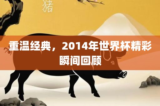 重温经典，2014年世界杯精彩瞬间回顾眉山市正发家政服务有限公司