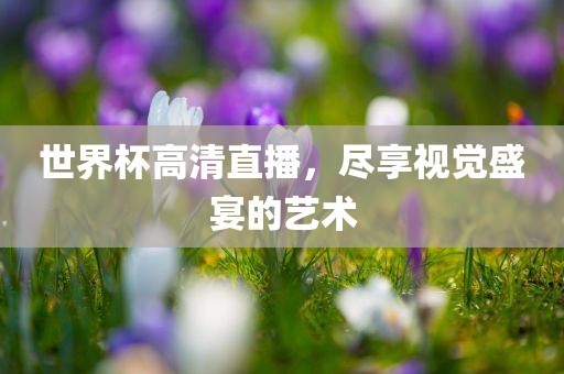 世界杯高清直播，尽眉山市正发家政服务有限公司享视觉盛宴的艺术