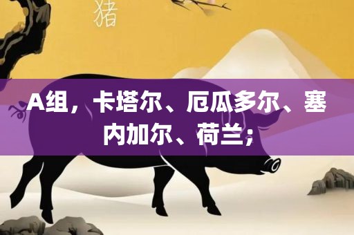 A组，卡塔尔、厄瓜多尔、塞内加尔、荷兰；眉山市正发家政服务有限公司