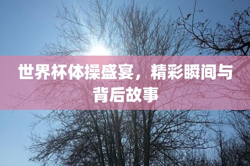 世界杯体操盛宴，精彩瞬间与背后故事