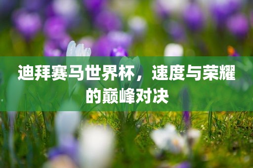 迪拜赛马世界杯，速度与荣耀的巅峰对决眉山市正发家政服务有限公司