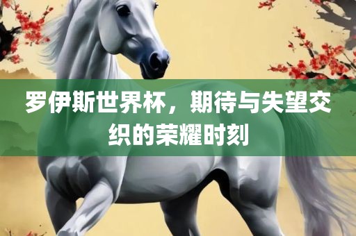 罗伊斯世界杯，期待与失望交织的荣耀时刻