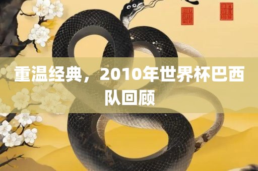 重温经典，2010年世界杯巴西队回顾