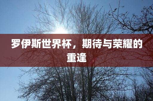 罗伊斯世界杯，期待与荣耀的重逢