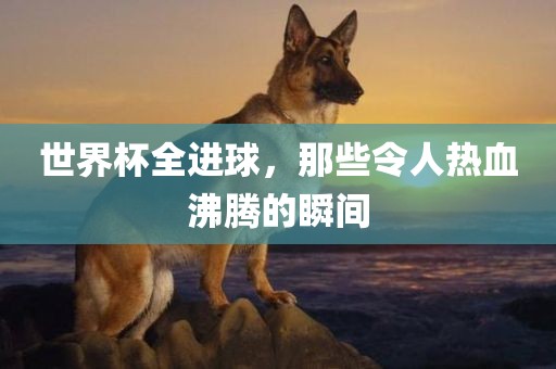 世界杯全进球，那些令人热血沸腾的瞬间