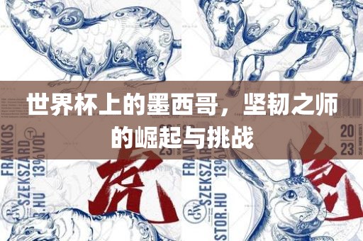 世界杯上的墨西哥，坚韧之师的崛起与挑战眉山市正发家政服务有限公司