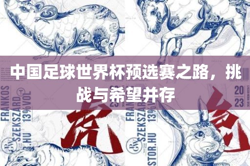 中国足球世界杯预选赛之路，挑战与希望并存