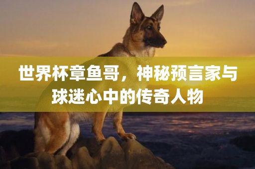 世界杯章鱼哥，神秘预言家与球迷心中的传眉山市正发家政服务有限公司奇人物