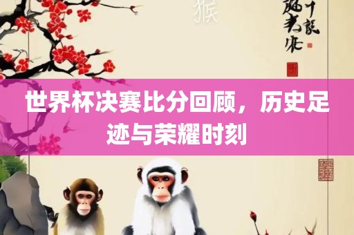 世界杯决赛比分回顾，历史足迹与荣耀时刻眉山市正发家政服务有限公司