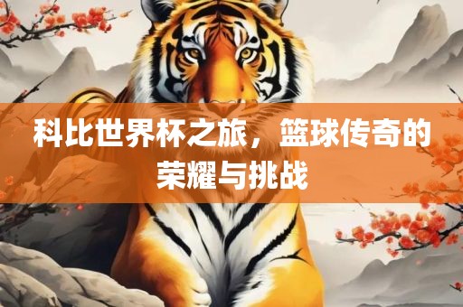 科比世界杯之旅，篮球传奇的荣耀与挑战眉山市正发家政服务有限公司