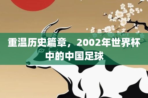 重温历史篇章，2002年世界杯中的中国足球眉山市正发家政服务有限公司