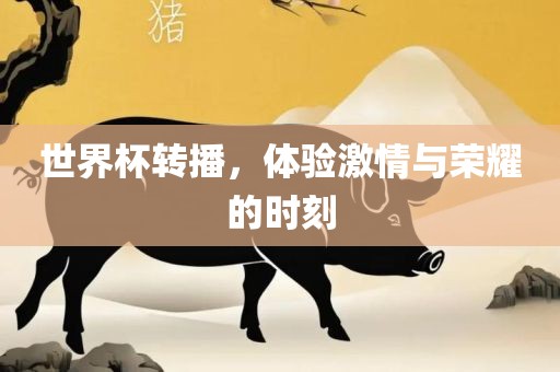 世界杯转播，体验激情与荣耀的时刻
