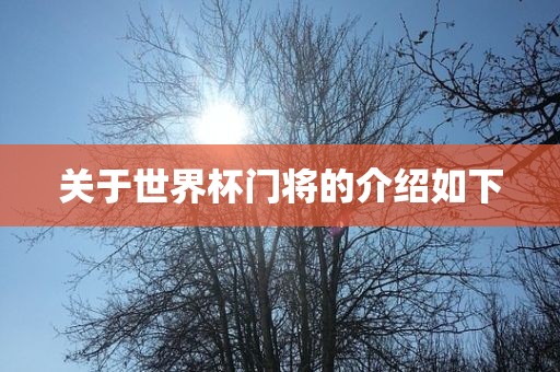 关于世界杯门将的介绍如下眉山市正发家政服务有限公司
