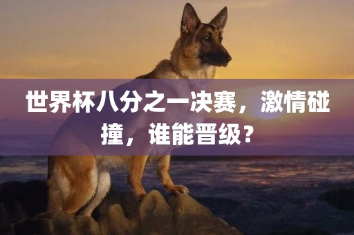 世界杯八分之一决赛，激情碰撞，谁能晋级？