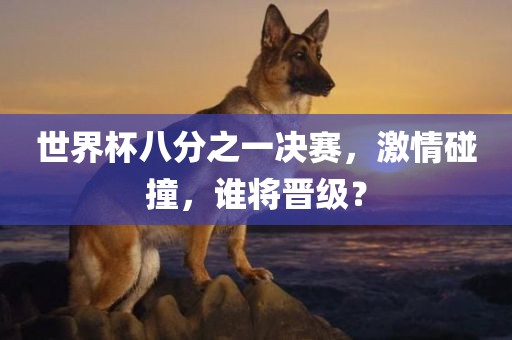 世界杯八分之一决赛，激情碰撞，谁将晋级？