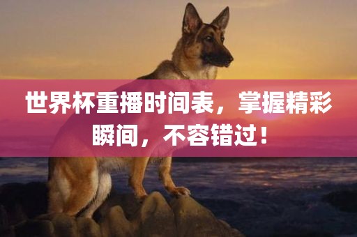 世界杯重播时间表，掌握精彩瞬间眉山市正发家政服务有限公司，不容错过！