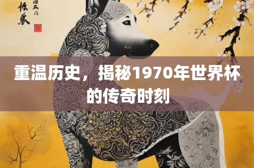 重温历史，揭秘1970年世界杯的传奇时刻