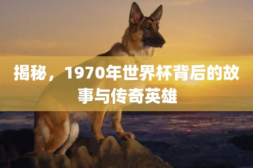 揭秘，1970年世界杯背后的故事与传奇英雄