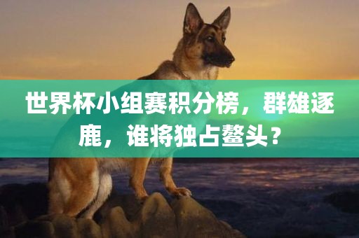 世界杯小组赛积分榜，群雄逐鹿，谁将独占鳌头？