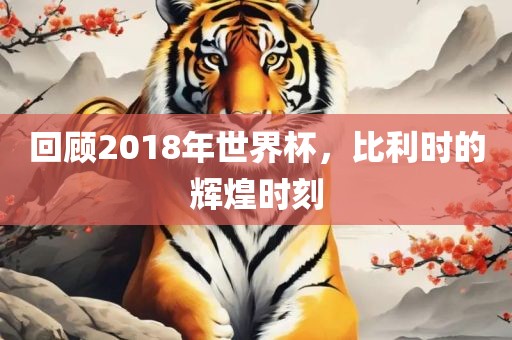 回顾2018年世界杯，比利时的辉煌时刻